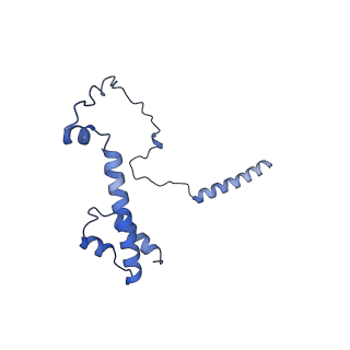22077_6x6l_JY_v1-1
Cryo-EM Structure of CagX and CagY within the dCag3 Helicobacter pylori PR