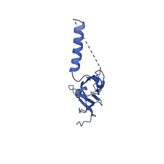 22077_6x6l_KX_v1-1
Cryo-EM Structure of CagX and CagY within the dCag3 Helicobacter pylori PR