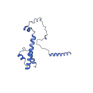 22077_6x6l_KY_v1-1
Cryo-EM Structure of CagX and CagY within the dCag3 Helicobacter pylori PR