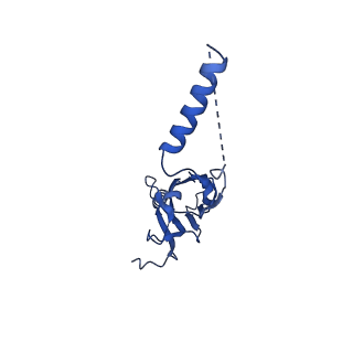 22077_6x6l_LX_v1-1
Cryo-EM Structure of CagX and CagY within the dCag3 Helicobacter pylori PR