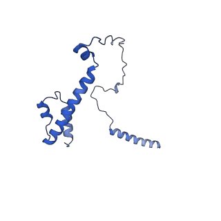 22077_6x6l_LY_v1-1
Cryo-EM Structure of CagX and CagY within the dCag3 Helicobacter pylori PR