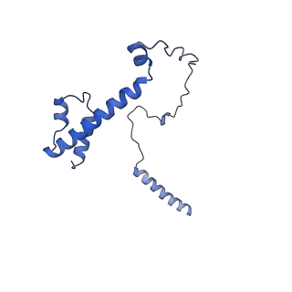 22077_6x6l_MY_v1-1
Cryo-EM Structure of CagX and CagY within the dCag3 Helicobacter pylori PR