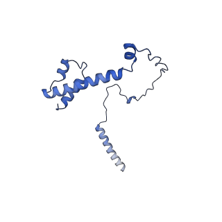 22077_6x6l_NY_v1-1
Cryo-EM Structure of CagX and CagY within the dCag3 Helicobacter pylori PR