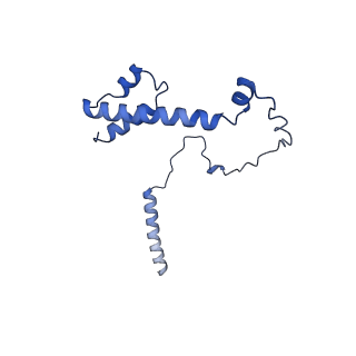 22077_6x6l_OY_v1-1
Cryo-EM Structure of CagX and CagY within the dCag3 Helicobacter pylori PR