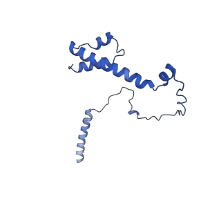 22077_6x6l_PY_v1-1
Cryo-EM Structure of CagX and CagY within the dCag3 Helicobacter pylori PR