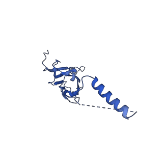 22077_6x6l_QX_v1-1
Cryo-EM Structure of CagX and CagY within the dCag3 Helicobacter pylori PR