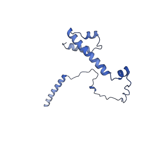 22077_6x6l_QY_v1-1
Cryo-EM Structure of CagX and CagY within the dCag3 Helicobacter pylori PR