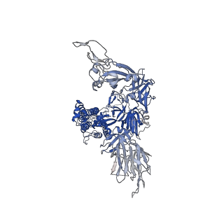 22078_6x6p_B_v1-1
Characterization of the SARS-CoV-2 S Protein: Biophysical, Biochemical, Structural, and Antigenic Analysis