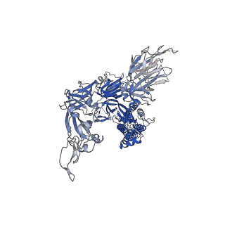 22078_6x6p_C_v1-1
Characterization of the SARS-CoV-2 S Protein: Biophysical, Biochemical, Structural, and Antigenic Analysis