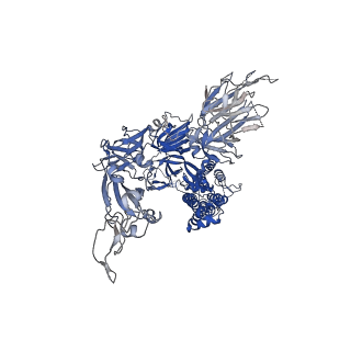 22078_6x6p_C_v2-1
Characterization of the SARS-CoV-2 S Protein: Biophysical, Biochemical, Structural, and Antigenic Analysis