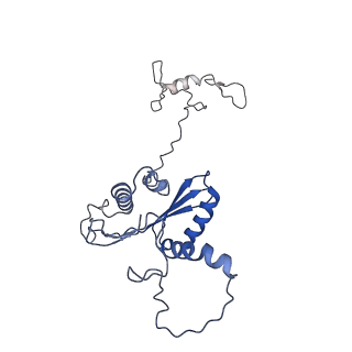 22081_6x6s_AA_v1-1
Cryo-EM Structure of the Helicobacter pylori OMC