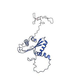 22081_6x6s_AA_v1-2
Cryo-EM Structure of the Helicobacter pylori OMC