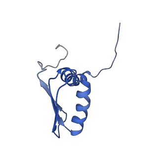 22081_6x6s_AB_v1-1
Cryo-EM Structure of the Helicobacter pylori OMC