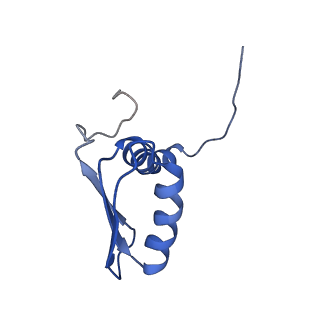 22081_6x6s_AB_v1-2
Cryo-EM Structure of the Helicobacter pylori OMC