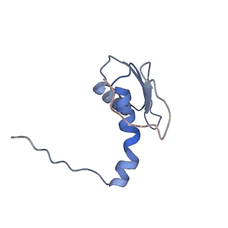 22081_6x6s_AC_v1-1
Cryo-EM Structure of the Helicobacter pylori OMC