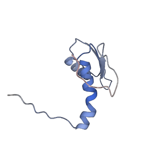 22081_6x6s_AC_v1-2
Cryo-EM Structure of the Helicobacter pylori OMC