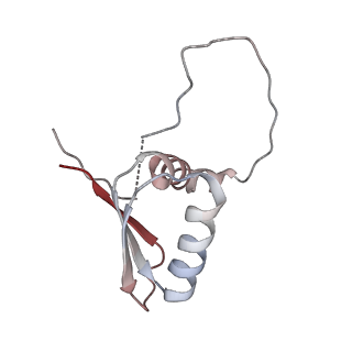 22081_6x6s_AD_v1-1
Cryo-EM Structure of the Helicobacter pylori OMC