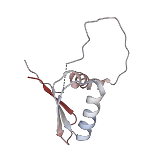 22081_6x6s_AD_v1-2
Cryo-EM Structure of the Helicobacter pylori OMC