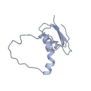 22081_6x6s_AE_v1-1
Cryo-EM Structure of the Helicobacter pylori OMC