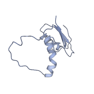 22081_6x6s_AE_v1-2
Cryo-EM Structure of the Helicobacter pylori OMC