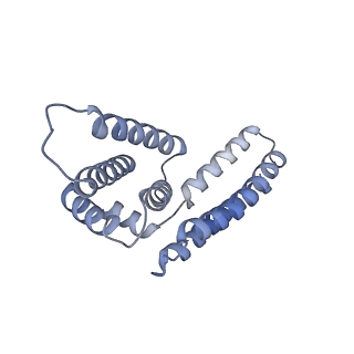 22081_6x6s_AM_v1-1
Cryo-EM Structure of the Helicobacter pylori OMC