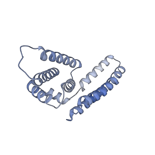 22081_6x6s_AM_v1-2
Cryo-EM Structure of the Helicobacter pylori OMC