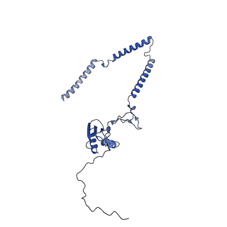 22081_6x6s_AT_v1-1
Cryo-EM Structure of the Helicobacter pylori OMC