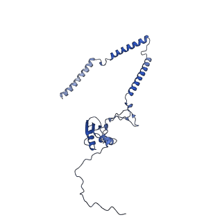 22081_6x6s_AT_v1-2
Cryo-EM Structure of the Helicobacter pylori OMC