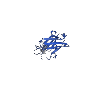 22081_6x6s_AX_v1-2
Cryo-EM Structure of the Helicobacter pylori OMC