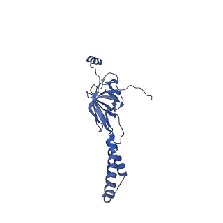 22081_6x6s_AY_v1-1
Cryo-EM Structure of the Helicobacter pylori OMC