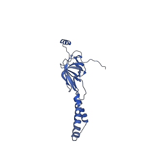 22081_6x6s_AY_v1-2
Cryo-EM Structure of the Helicobacter pylori OMC