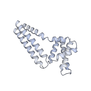 22081_6x6s_Am_v1-1
Cryo-EM Structure of the Helicobacter pylori OMC