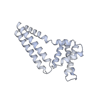 22081_6x6s_Am_v1-2
Cryo-EM Structure of the Helicobacter pylori OMC