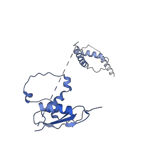 22081_6x6s_At_v1-1
Cryo-EM Structure of the Helicobacter pylori OMC