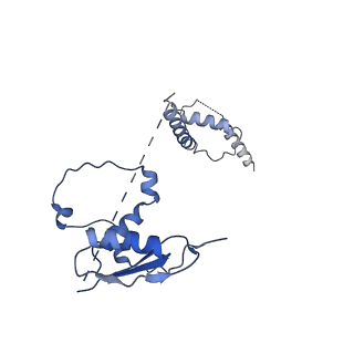 22081_6x6s_At_v1-2
Cryo-EM Structure of the Helicobacter pylori OMC