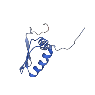 22081_6x6s_BB_v1-1
Cryo-EM Structure of the Helicobacter pylori OMC