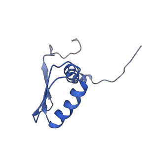 22081_6x6s_BB_v1-2
Cryo-EM Structure of the Helicobacter pylori OMC