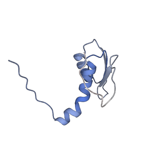 22081_6x6s_BC_v1-1
Cryo-EM Structure of the Helicobacter pylori OMC
