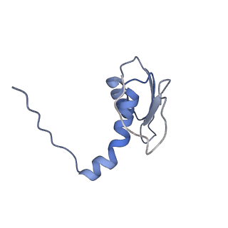 22081_6x6s_BC_v1-2
Cryo-EM Structure of the Helicobacter pylori OMC