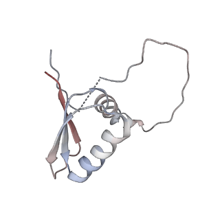 22081_6x6s_BD_v1-1
Cryo-EM Structure of the Helicobacter pylori OMC