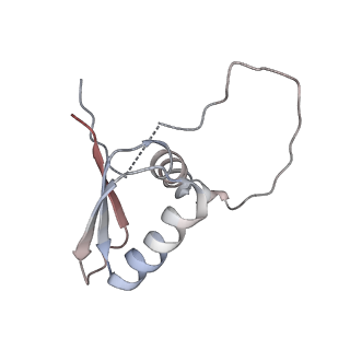 22081_6x6s_BD_v1-2
Cryo-EM Structure of the Helicobacter pylori OMC