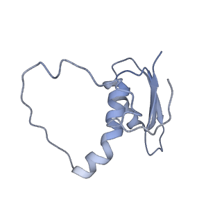 22081_6x6s_BE_v1-1
Cryo-EM Structure of the Helicobacter pylori OMC