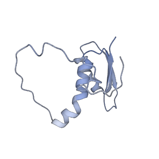 22081_6x6s_BE_v1-2
Cryo-EM Structure of the Helicobacter pylori OMC