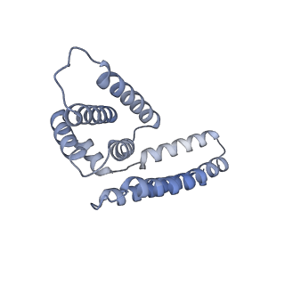 22081_6x6s_BM_v1-1
Cryo-EM Structure of the Helicobacter pylori OMC