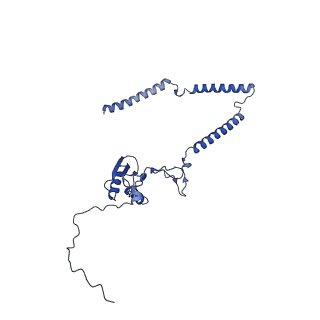 22081_6x6s_BT_v1-1
Cryo-EM Structure of the Helicobacter pylori OMC
