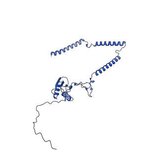 22081_6x6s_BT_v1-2
Cryo-EM Structure of the Helicobacter pylori OMC