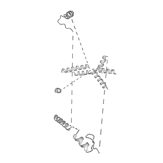 22081_6x6s_BU_v1-2
Cryo-EM Structure of the Helicobacter pylori OMC