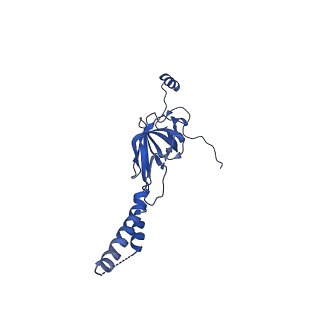 22081_6x6s_BY_v1-1
Cryo-EM Structure of the Helicobacter pylori OMC