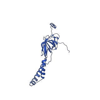 22081_6x6s_BY_v1-2
Cryo-EM Structure of the Helicobacter pylori OMC