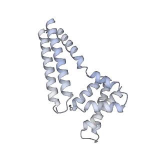 22081_6x6s_Bm_v1-1
Cryo-EM Structure of the Helicobacter pylori OMC